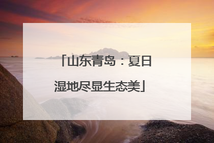山东青岛：夏日湿地尽显生态美