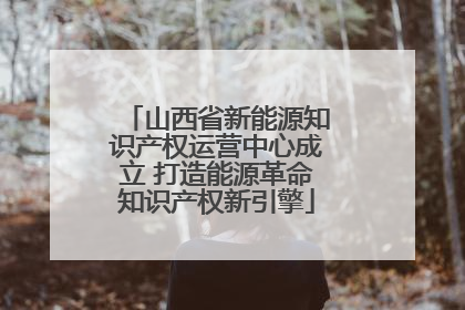 山西省新能源知识产权运营中心成立 打造能源革命知识产权新引擎