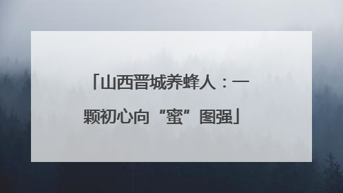 山西晋城养蜂人：一颗初心向“蜜”图强
