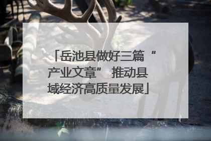 岳池县做好三篇“产业文章” 推动县域经济高质量发展