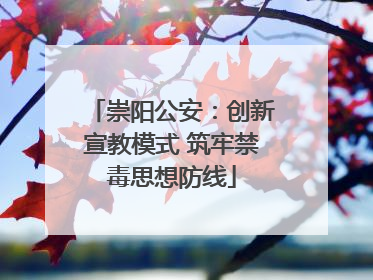 崇阳公安：创新宣教模式 筑牢禁毒思想防线