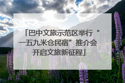 巴中文旅示范区举行“一五九米仓民宿”推介会 开启文旅新征程