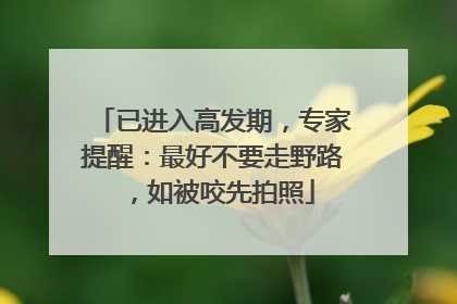 已进入高发期，专家提醒：最好不要走野路，如被咬先拍照