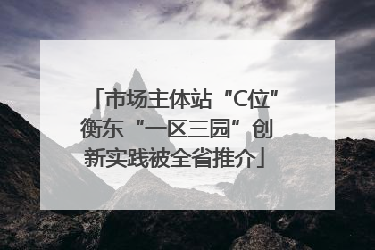 市场主体站“C位” 衡东“一区三园”创新实践被全省推介