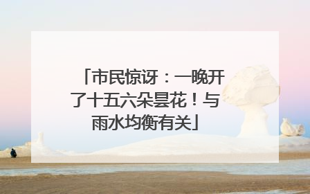 市民惊讶：一晚开了十五六朵昙花！与雨水均衡有关