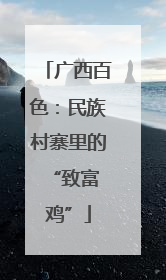 广西百色：民族村寨里的 “致富鸡”