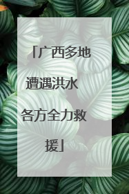广西多地遭遇洪水 各方全力救援