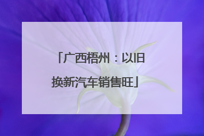 广西梧州：以旧换新汽车销售旺