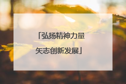 弘扬精神力量 矢志创新发展
