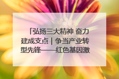 弘扬三大精神 奋力建成支点｜争当产业转型先锋——红色基因激荡荆门转型跨越之路