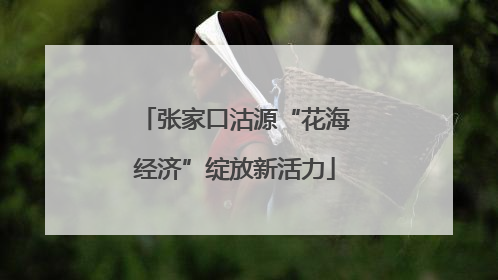 张家口沽源“花海经济”绽放新活力