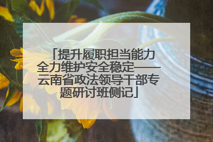 提升履职担当能力 全力维护安全稳定——云南省政法领导干部专题研讨班侧记