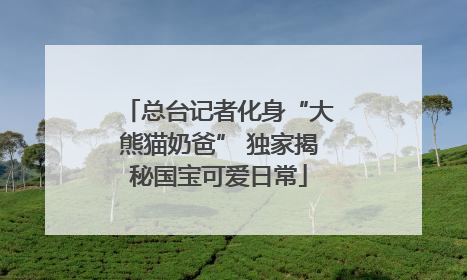 总台记者化身“大熊猫奶爸” 独家揭秘国宝可爱日常