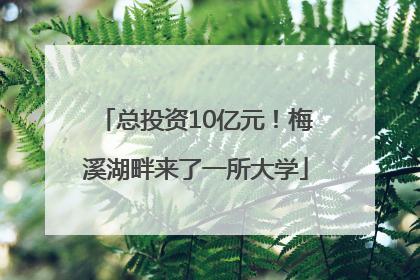 总投资10亿元！梅溪湖畔来了一所大学