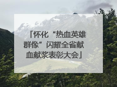 怀化“热血英雄群像”闪耀全省献血献浆表彰大会