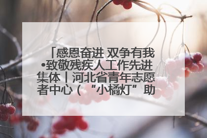 感恩奋进 双争有我•致敬残疾人工作先进集体丨河北省青年志愿者中心（“小橘灯”助残接力计划实施团队）：用温暖陪伴，守护特殊孩子成长