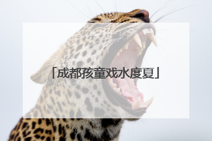 成都孩童戏水度夏