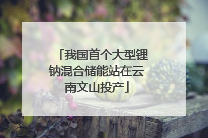 我国首个大型锂钠混合储能站在云南文山投产