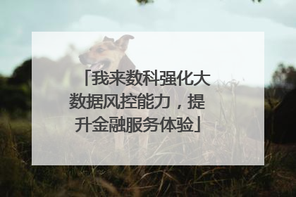 我来数科强化大数据风控能力，提升金融服务体验