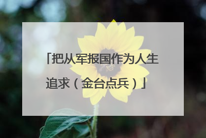 把从军报国作为人生追求（金台点兵）