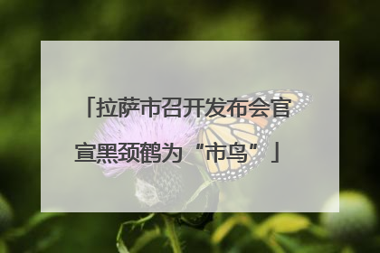 拉萨市召开发布会官宣黑颈鹤为“市鸟”