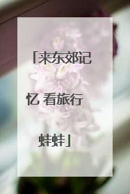 来东郊记忆 看旅行蛙蛙