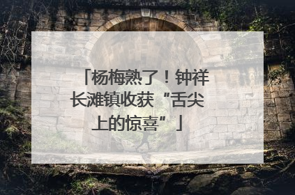 杨梅熟了！钟祥长滩镇收获“舌尖上的惊喜”