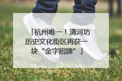 杭州唯一！清河坊历史文化街区再获一块“金字招牌”