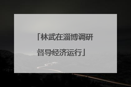 林武在淄博调研督导经济运行