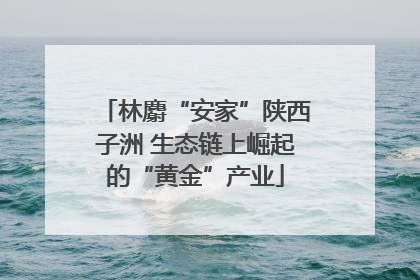 林麝“安家”陕西子洲 生态链上崛起的“黄金”产业