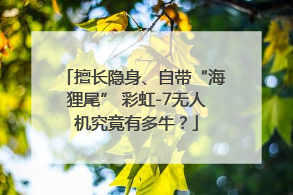 擅长隐身、自带“海狸尾” 彩虹-7无人机究竟有多牛？