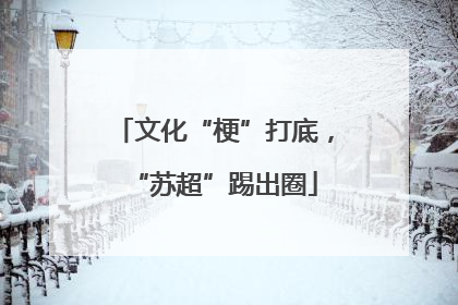 文化“梗”打底，“苏超”踢出圈