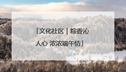 文化社区｜粽香沁人心 浓浓端午情