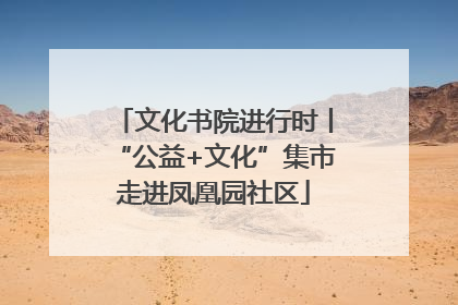 文化书院进行时丨“公益+文化”集市走进凤凰园社区