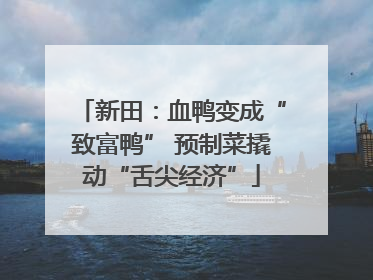 新田：血鸭变成“致富鸭” 预制菜撬动“舌尖经济”