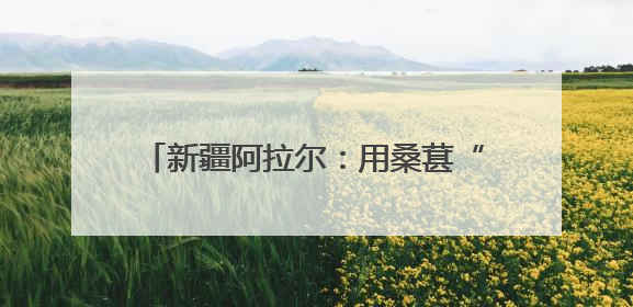 新疆阿拉尔：用桑葚“酿”出乡村旅游新风味