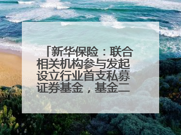 新华保险：联合相关机构参与发起设立行业首支私募证券基金，基金二期200亿元已募集完毕