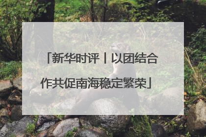 新华时评丨以团结合作共促南海稳定繁荣