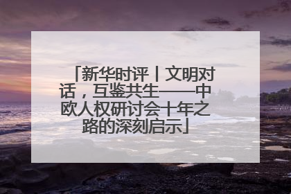 新华时评丨文明对话，互鉴共生——中欧人权研讨会十年之路的深刻启示