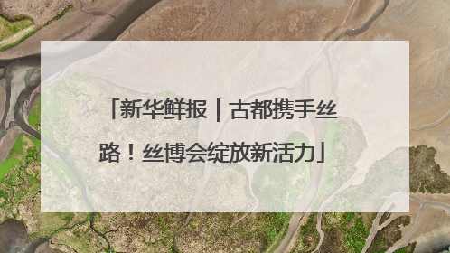 新华鲜报｜古都携手丝路！丝博会绽放新活力
