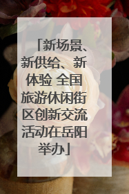 新场景、新供给、新体验 全国旅游休闲街区创新交流活动在岳阳举办
