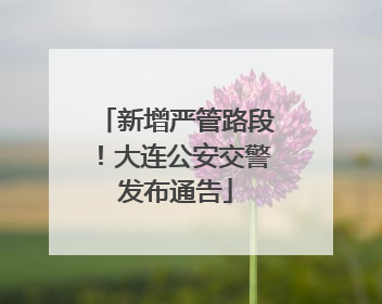 新增严管路段！大连公安交警发布通告