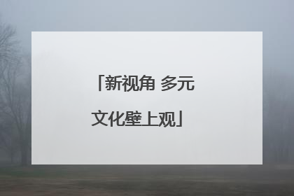 新视角 多元文化壁上观