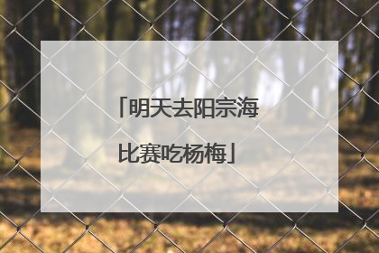 明天去阳宗海比赛吃杨梅