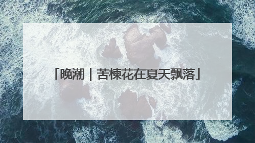 晚潮｜苦楝花在夏天飘落