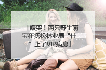 暖哭！两只野生萌宝在抚松林业局“住”上了VIP病房