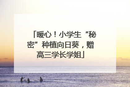 暖心！小学生“秘密”种植向日葵，赠高三学长学姐