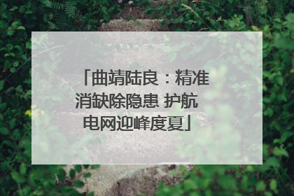 曲靖陆良：精准消缺除隐患 护航电网迎峰度夏