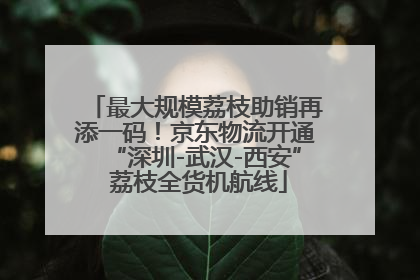 最大规模荔枝助销再添一码！京东物流开通“深圳-武汉-西安” 荔枝全货机航线