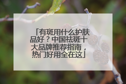 有斑用什么护肤品好？中国祛斑十大品牌推荐指南，热门好用全在这